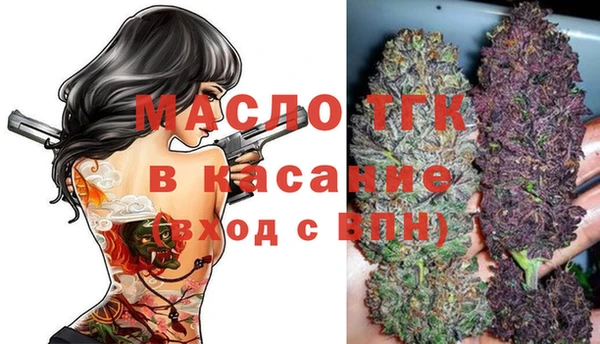 тгк Абаза
