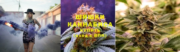 хмурый Ельня