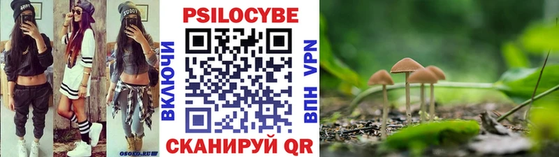Псилоцибиновые грибы MAGIC MUSHROOMS  Ковров 