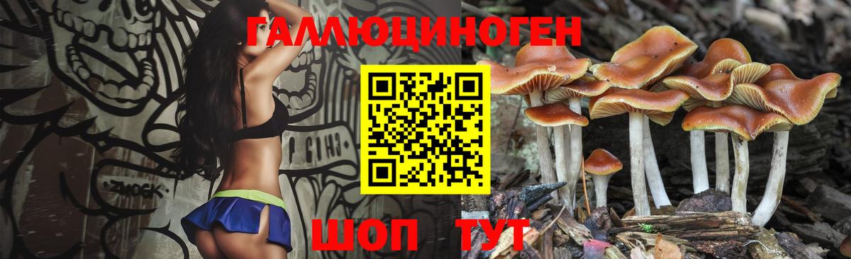 Псилоцибиновые грибы MAGIC MUSHROOMS  Вход с VPN  Ковров 